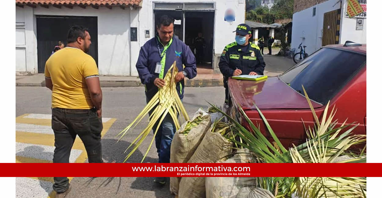 Más de 1.500 ramos elaborados con palmas nativas incautó la CAR el Domingo de Ramos 2023