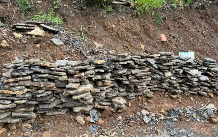 CAR detiene grave afectación del recurso suelo en zona rural de Tibirita, Cundinamarca