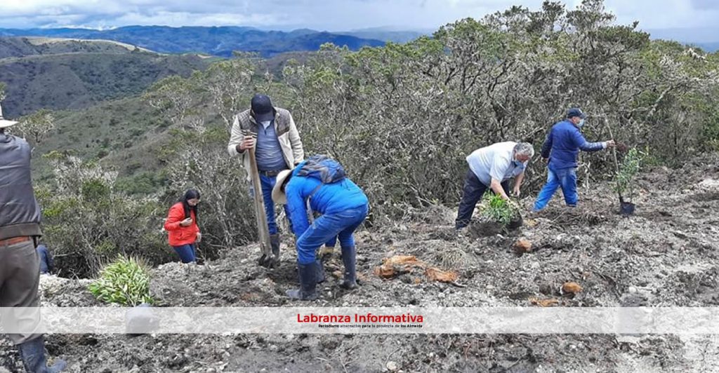 La CAR y curtiembres legalizadas inician reforestación en zona de reserva del nacimiento del río Bogotá