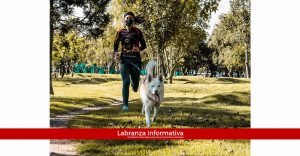 En Chocontá se vivirá el 1er canitrail de la provincia de los Almeida