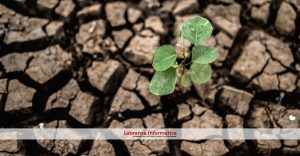 Procuraduría insta a autoridades municipales, distritales y departamentales a formular, con urgencia, sus planes de gestión de cambio climático