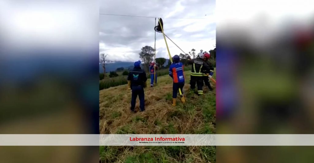 Rescatan a oso perezoso luego de estar 3 días aferrado a cuerdas de energía