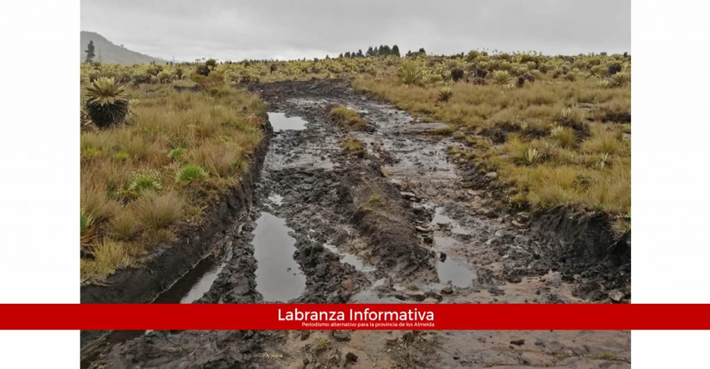 Freno a competencias de rally en el Páramo de Rabanal