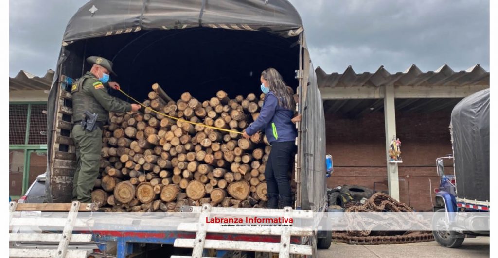 Proceso sancionatorio a 2 personas por movilización ilegal de 567 troncos de madera en carreteras de Boyacá