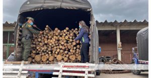 Proceso sancionatorio a 2 personas por movilización ilegal de 567 troncos de madera en carreteras de Boyacá