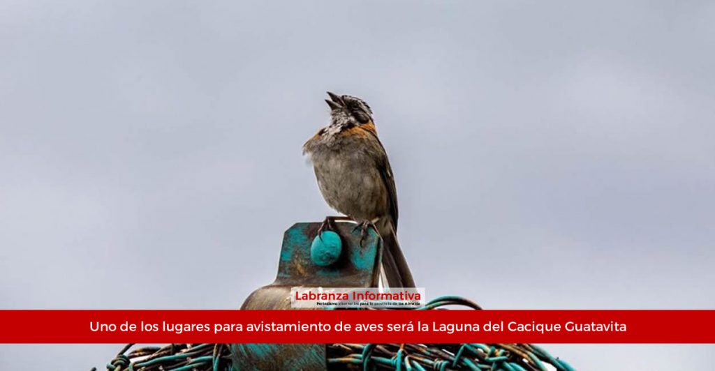 Operadores turísticos de Cundinamarca se preparan con la CAR para potenciar el aviturismo en el departamento