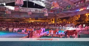 Más de 100.000 personas se gozaron ExpoCundinamarca 2022