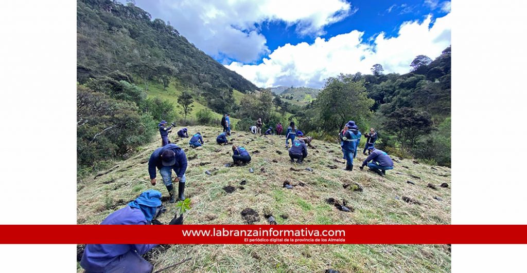CAR sembrará un millón de árboles en las cuencas de los ríos Bogotá y Ubaté-Suárez