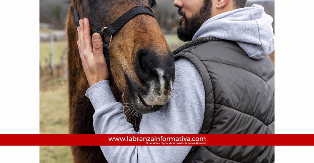 En Zipaquirá 40 equinos se jubilan, con la prohibición definitiva de vehículos de tracción animal