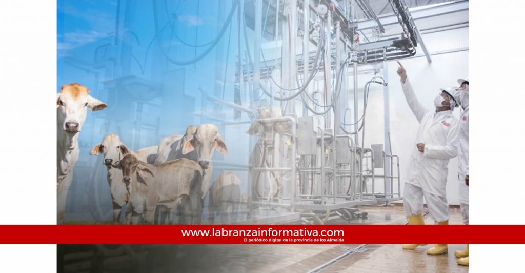 Por presunto uso irregular de la planta de beneficio animal, Procuraduría abrió investigación al alcalde de Anolaima (Cundinamarca)