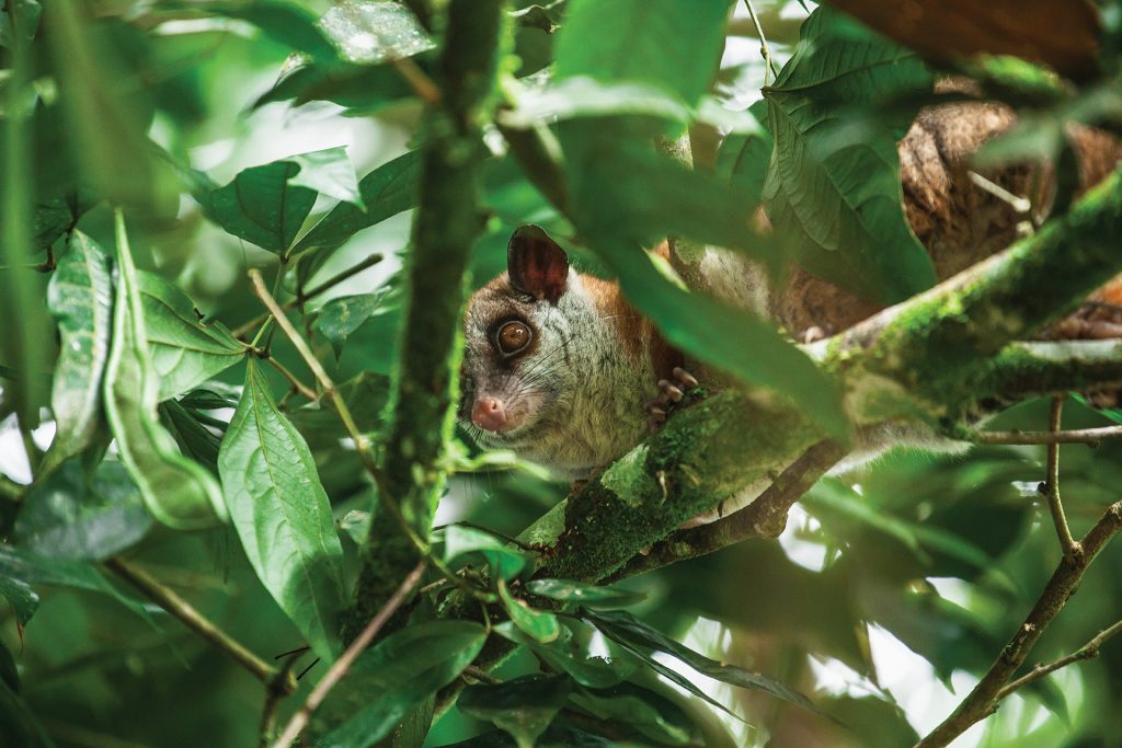 Entornos sostenibles y ricos en biodiversidad: La apuesta de la CAR para hacer frente al cambio climático