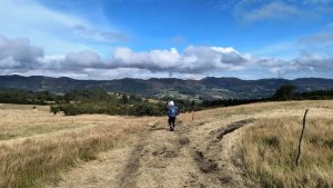 CAR inició investigación por afectación al páramo Cruz Verde