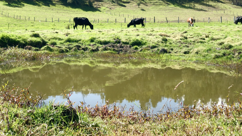 La CAR impulsa iniciativas que mitiguen la desertificación y sequía en los suelos del territorio