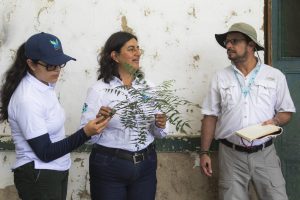 CAR ensaya innovador sistema de siembra y propagación de material vegetal sin bolsa
