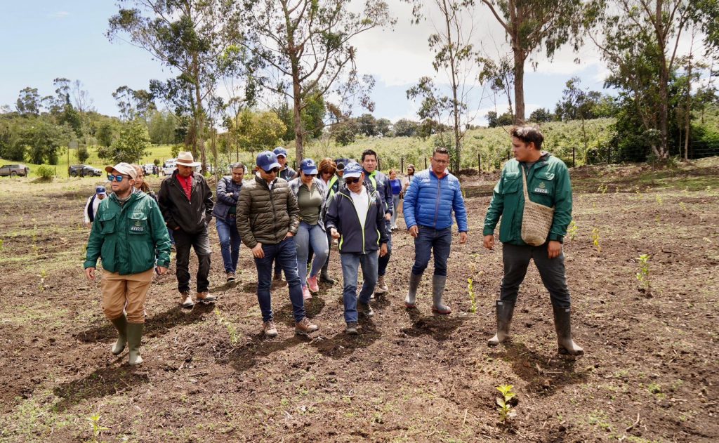 Así avanza la espinosa lucha de la CAR contra el retamo: 99 hectáreas ya han sido erradicadas