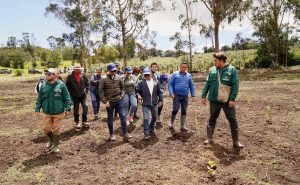 Así avanza la espinosa lucha de la CAR contra el retamo: 99 hectáreas ya han sido erradicadas
