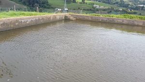 Autoridad ambiental ordena suspensión inmediata de captación de agua en predio rural de Sibaté