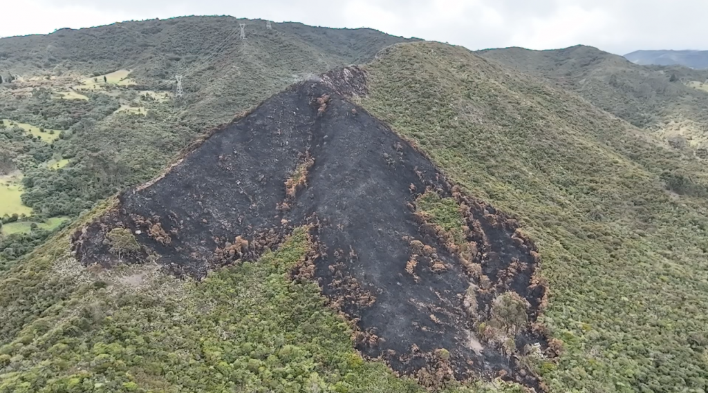 CAR realizó monitoreo de afectaciones de flora y fauna tras reciente incendio en zona rural de Soacha, Cundinamarca