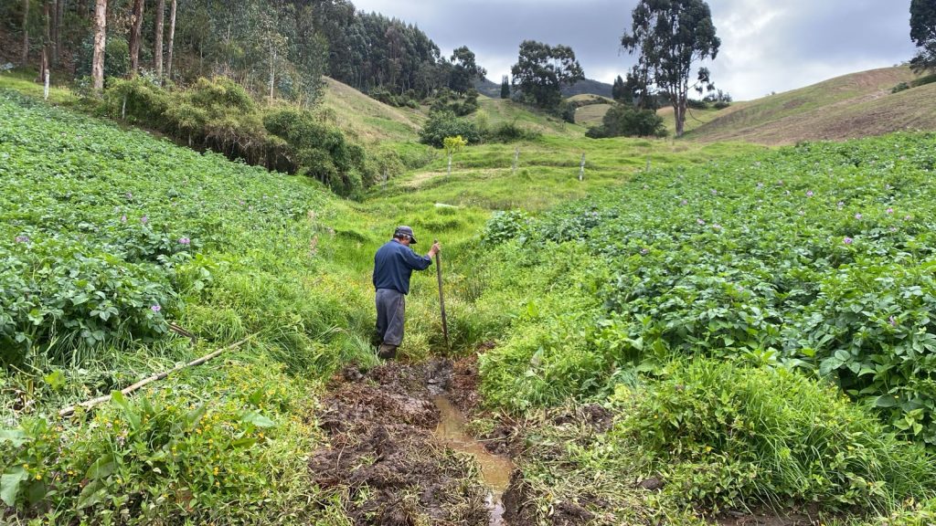 CAR suspende actividades agrícolas en Cogua por contaminación a fuente hídrica