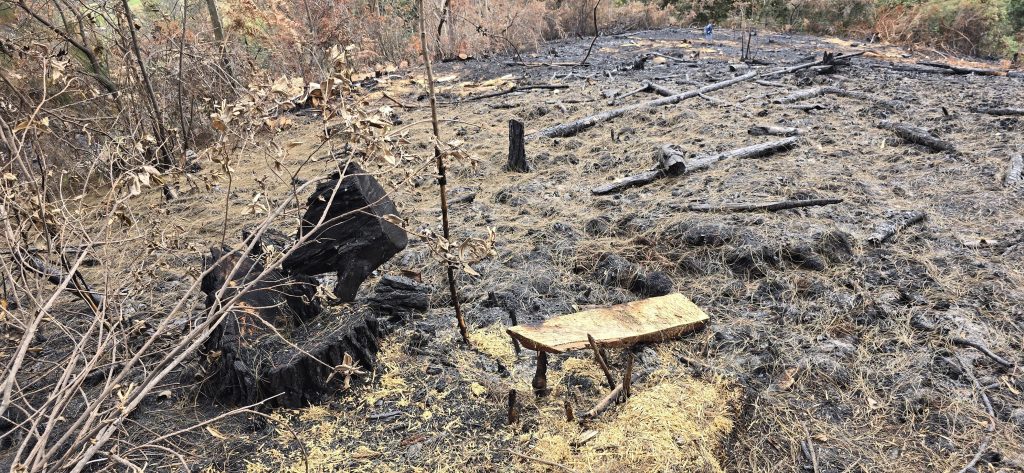 CAR evidencia talas y quemas ilegales como causas de incendios forestales en San Miguel de Sema y Ráquira