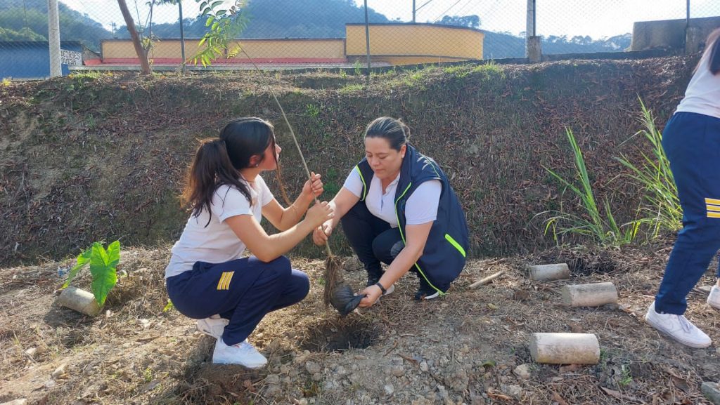 CAR y comunidad educativa plantan 10.000 árboles para restauración de ecosistemas en el territorio