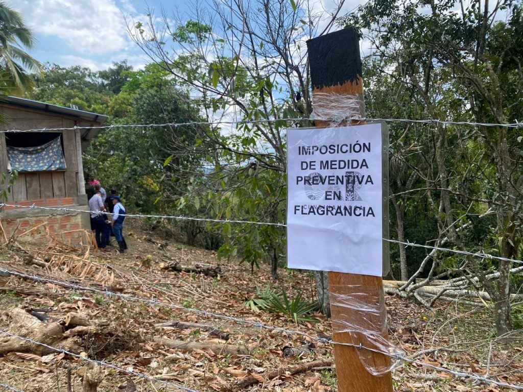 Con motosierra en mano: CAR y Policía detienen tala en Villeta, Cundinamarca