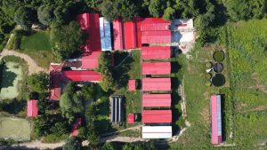 CAR suspende actividad a una porcícola en Ricaurte, Cundinamarca