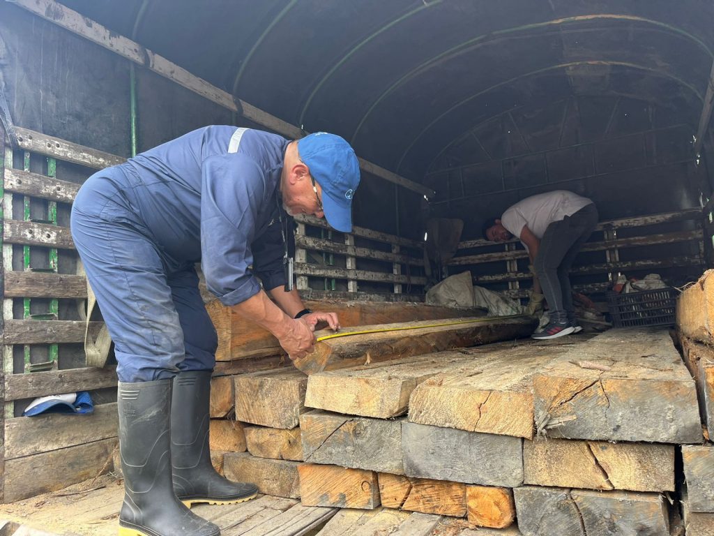 Autoridades decomisan más de 21 metros cúbicos de madera movilizada y explotada sin permisos
