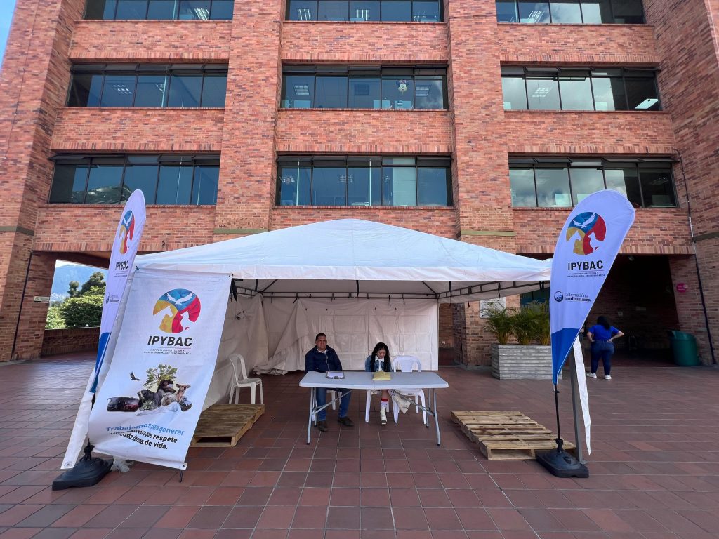 Cundinamarca brilla esta Navidad con el 'Reto cero animales con hambre'