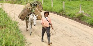 Competitividad compartida: Cundinamarca se transforma para todos