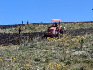 CAR designa equipo especializado para investigar la destrucción de más de 240 frailejones en Saboyá, Boyacá