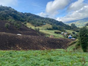 Detienen cultivo de papa en zona protegida de Cogua: CAR endurece operativos en zonas de páramo de su Jurisdicción