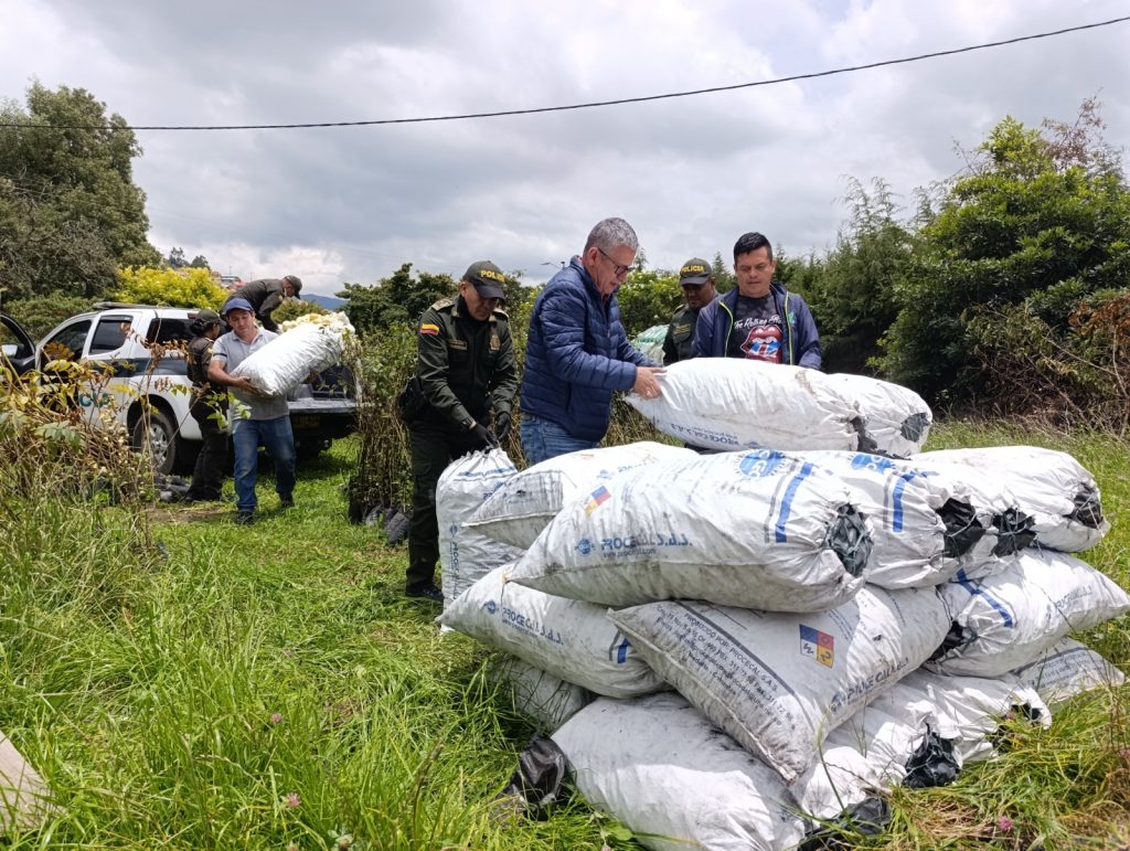 CAR y Policía de Sutatausa incautan carbón vegetal producido ilegalmente en zona de protección hídrica