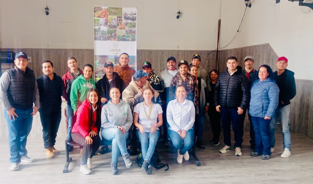 Cundinamarca se consolida como líder en cultivo de cebolla de bulbo con más de 46.000 toneladas anuales