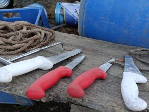CAR suspende matadero clandestino en Ubaté, Cundinamarca, por vertimientos ilegales