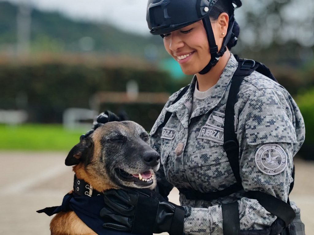 Leales y precisos: binomios caninos culminan entrenamiento especializado en seguridad