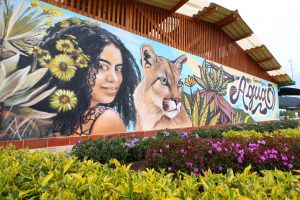 CAR y Jaime Duque lanzan convocatoria para participar del II Festival Biocultural Tierra del Cóndor y del Oso