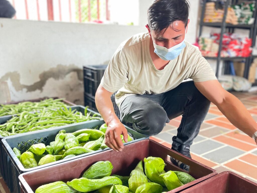Más de 1.200 kilos de alimentos frescos llegan al PAE en Cundinamarca con productores locales al mando