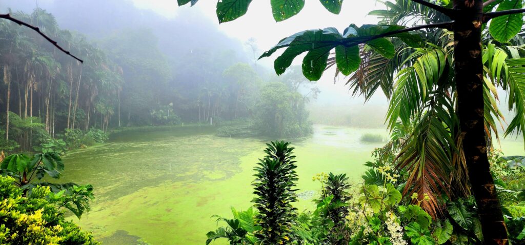 Comunidades de Cundinamarca liderarán la conservación de 23 humedales gracias a alianza CAR–PNUD