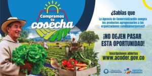 Más de 2.000 productores rurales podrán vender sus cosechas a precios justos en Cundinamarca