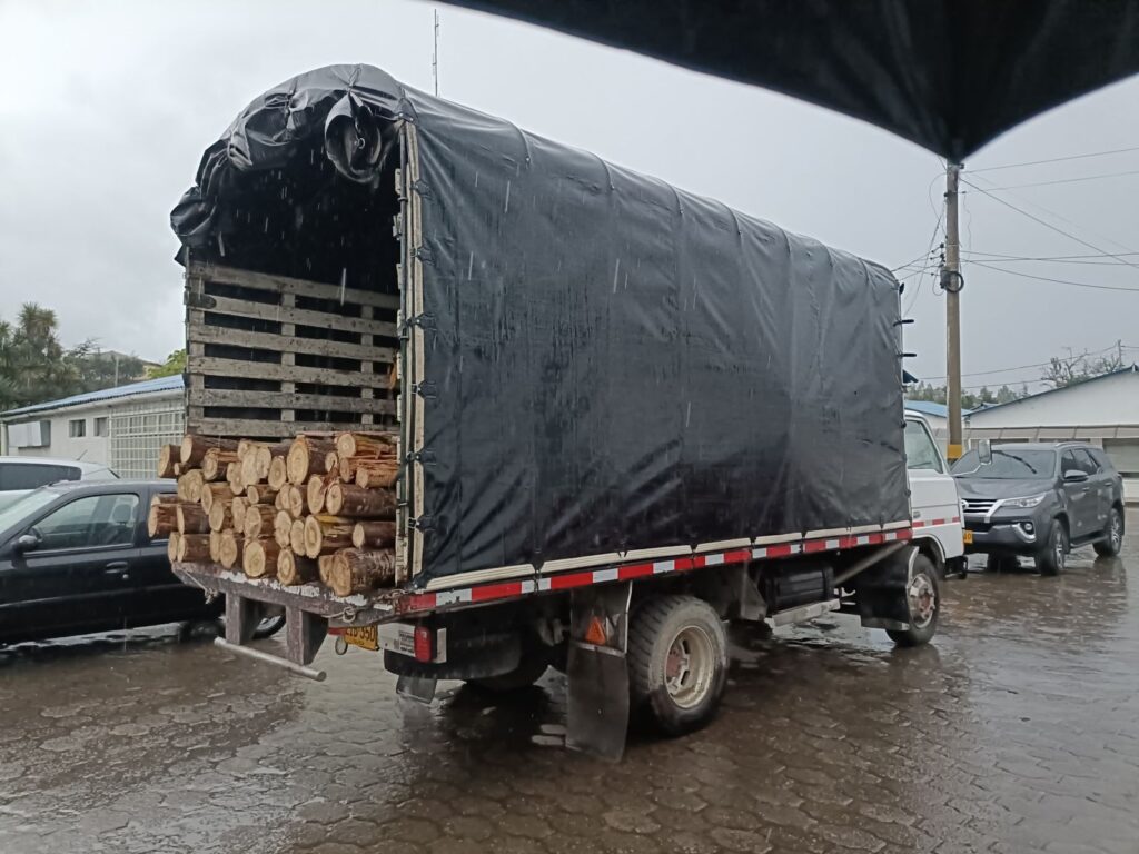 Incautan más de 19 metros cúbicos de madera en tres regionales de la jurisdicción CAR