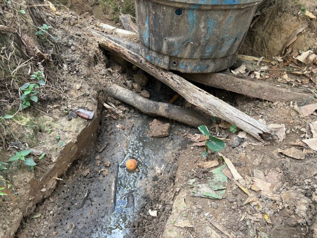 Freno a vertimientos contaminantes de granja porcícola en Arbeláez