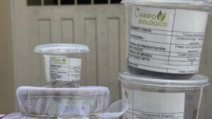 Más de 400 productores de caña panelera fortalecen sus cultivos con control biológico en Cundinamarca