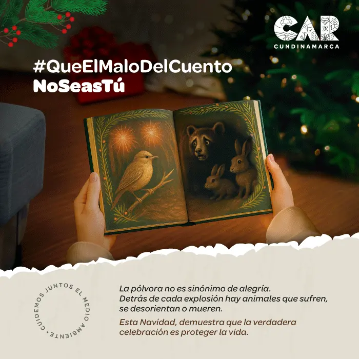 CAMPAÑA PREVENCIÓN PÓLVORA CAR
