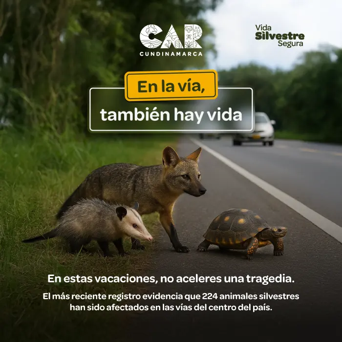 Campaña animales silvestres vacaciones CAR
