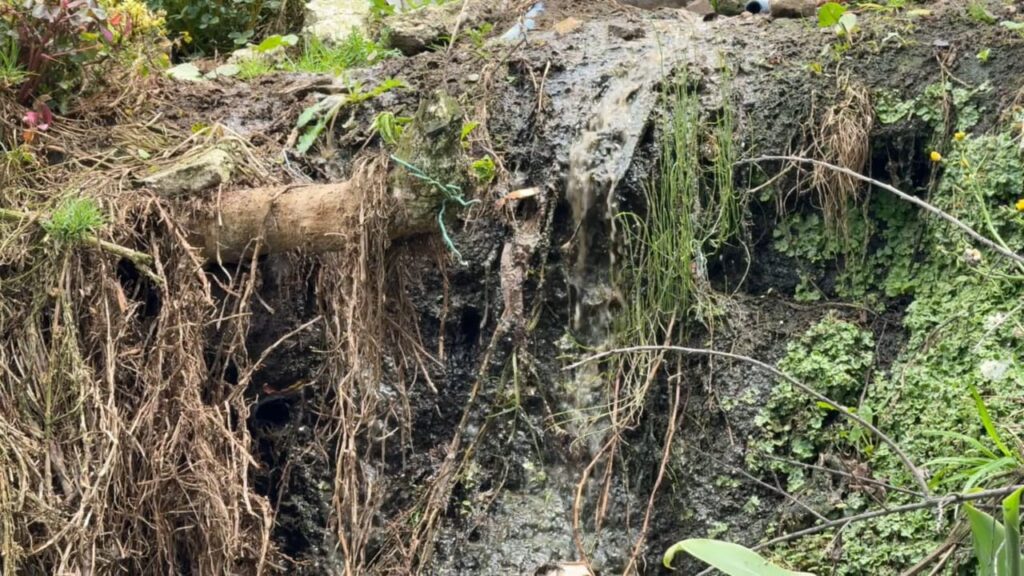 En Zipaquirá suspenden actividades porcícolas por vertimientos directos al suelo y olores ofensivos