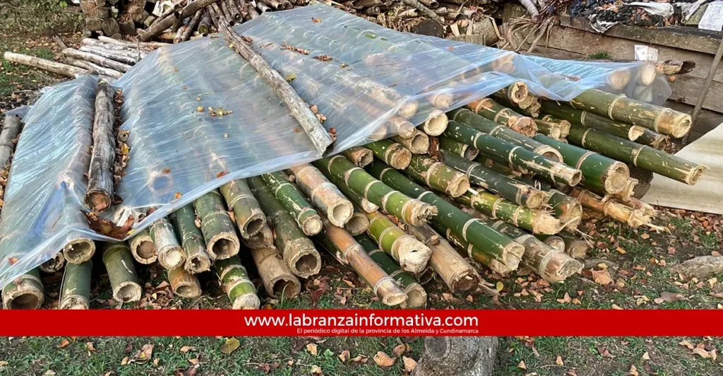 Autoridades frenaron transporte ilegal de guadua en vías de Cundinamarca