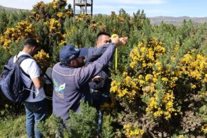 CAR Cundinamarca innova a través de tecnología de punta e imágenes satelitales para “mapear” zonas con retamo espinoso