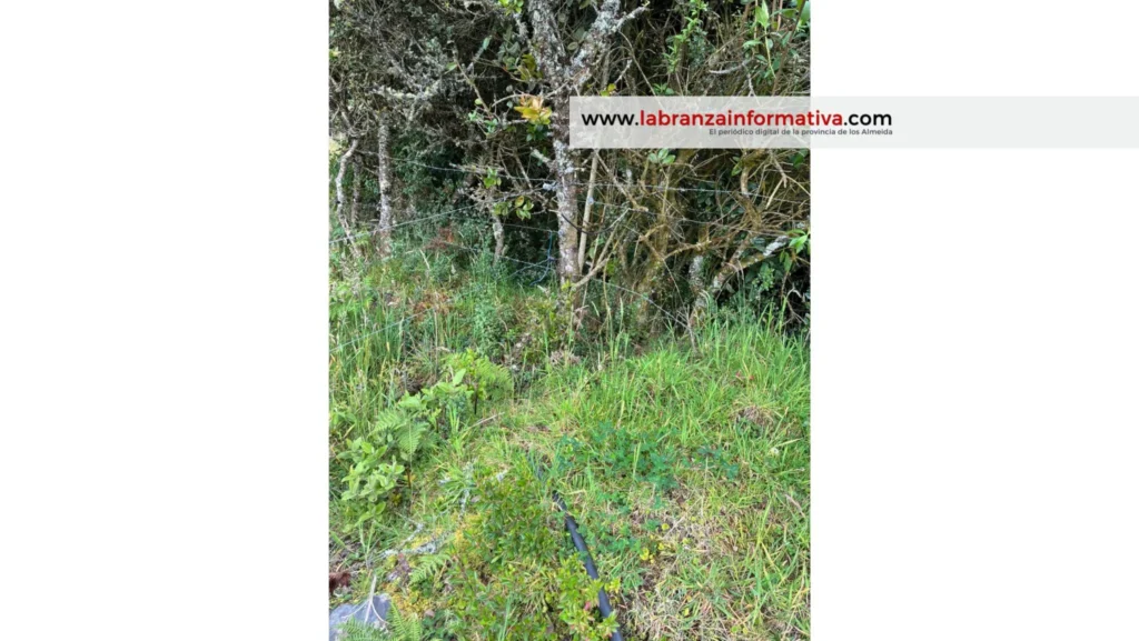 Le quitaban el agua al acueducto para sembrar papa en Sesquilé