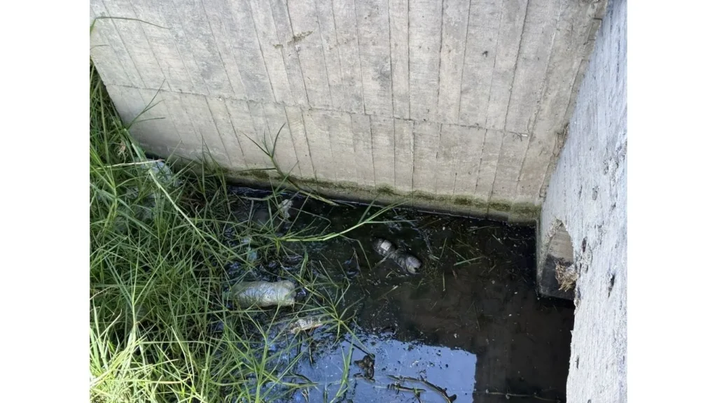 Frenan vertimiento de residuos lácteos en Chocontá que iban al río Bogotá